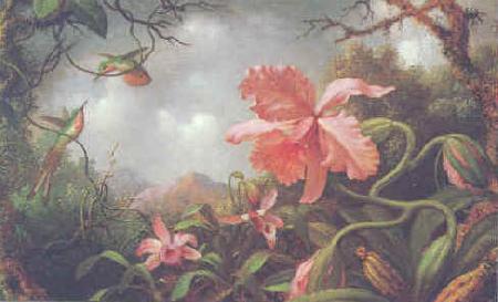 Martin Johnson Heade Hummingbirds and Two Varieties of Orchids Sweden oil painting art